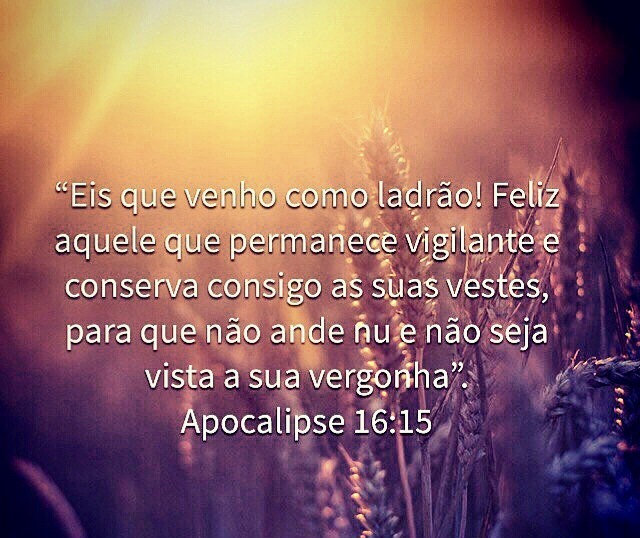 /img/biblia/apo-16-15.png