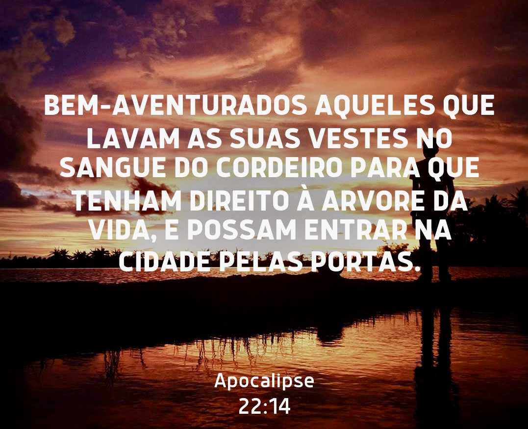 /img/biblia/apo-22-14.png