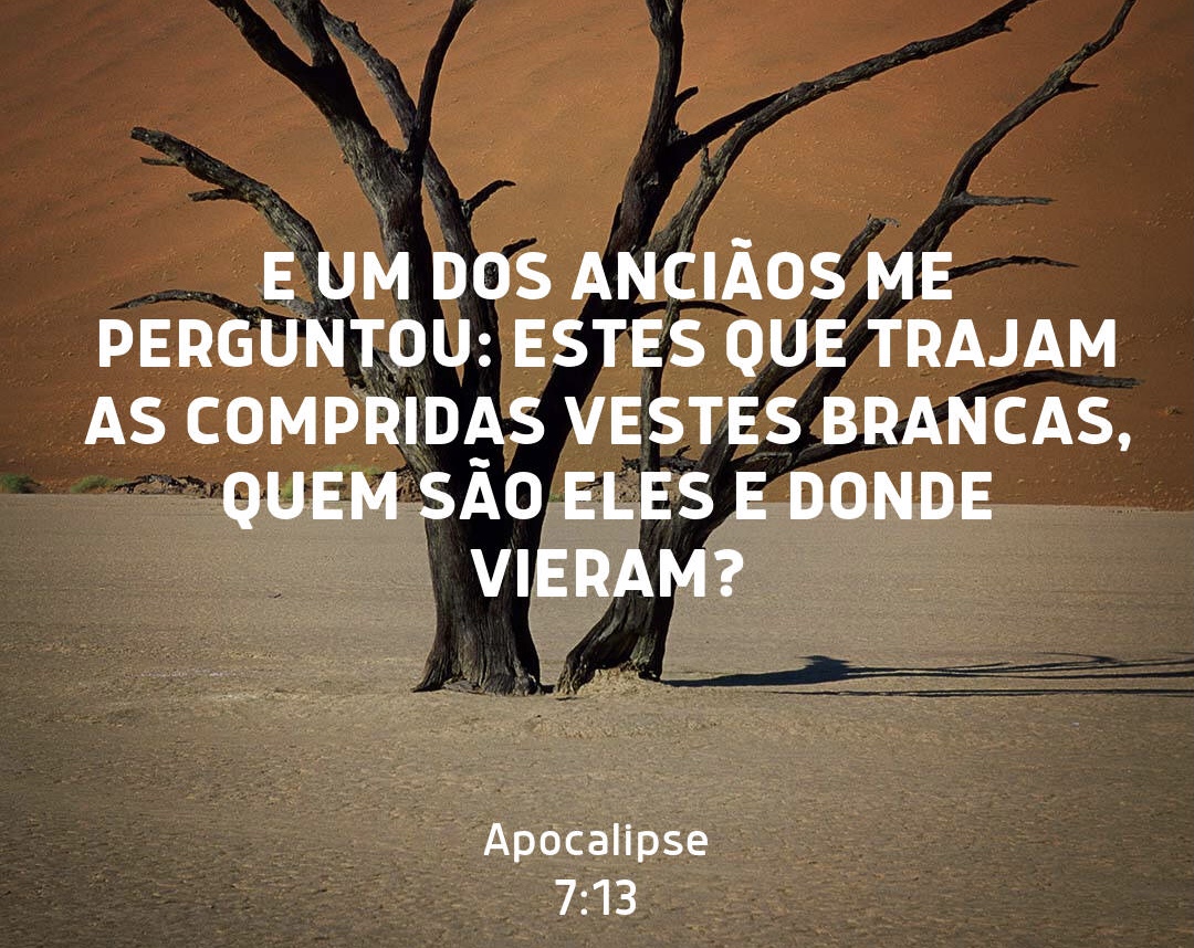 /img/biblia/apo-7-13.jpg