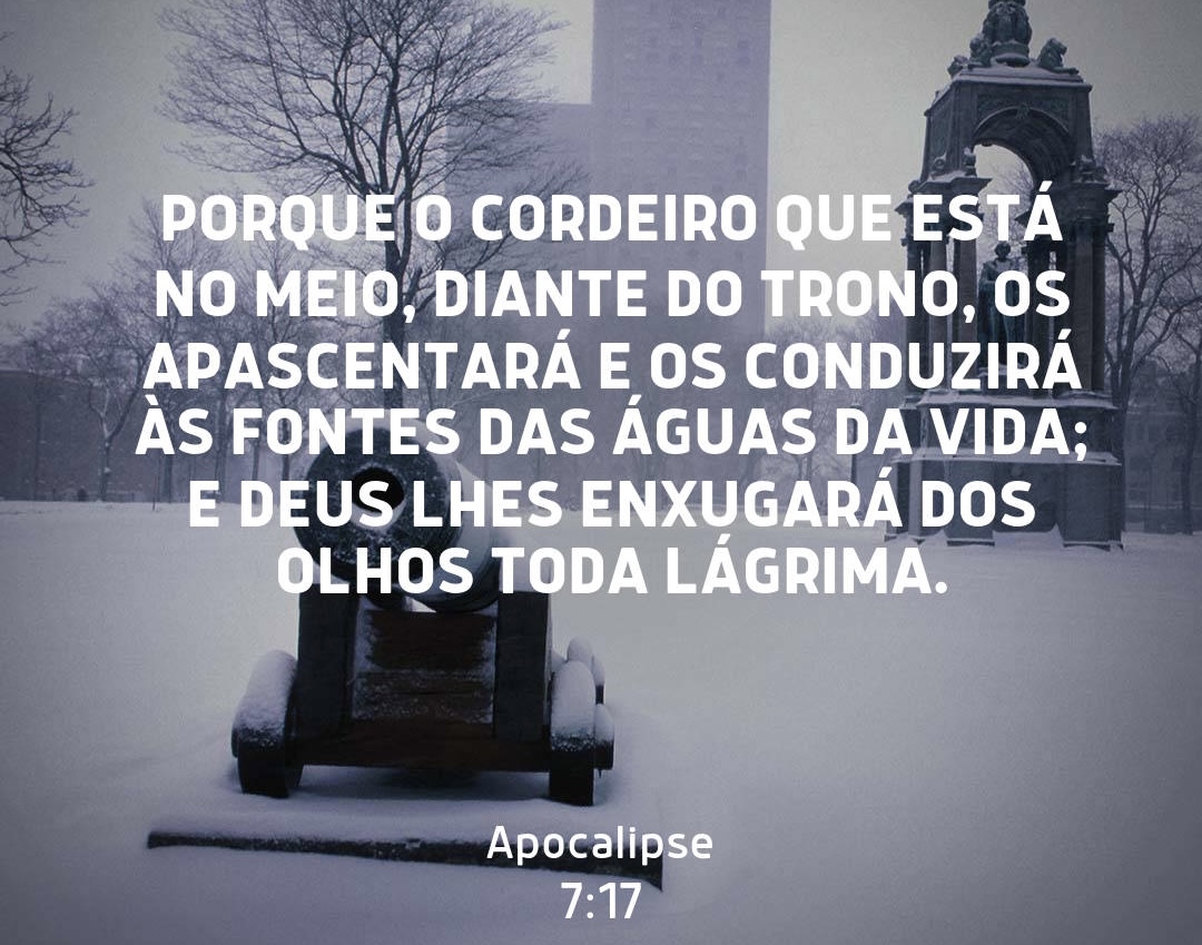 /img/biblia/apo-7-17.jpg