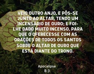 /img/biblia/apo-8-3.jpg
